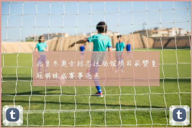 北京冬奥会标志性场馆项目获赞皇冠明珠成赛事亮点