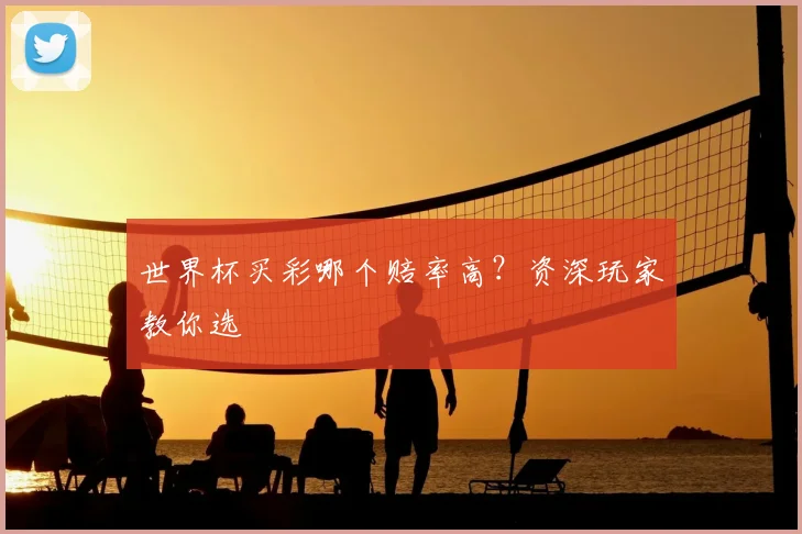 世界杯买彩哪个赔率高?资深玩家教你选
